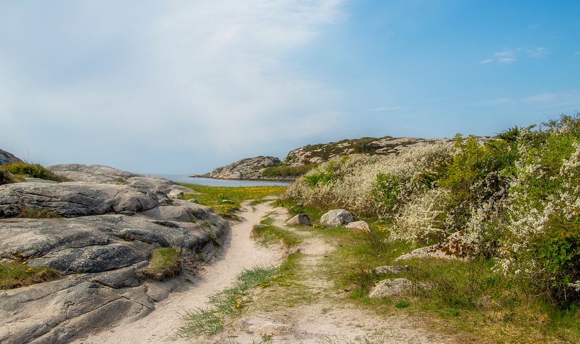 Vue sur la mer par Connie de Graaf