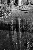 Waterplas 2