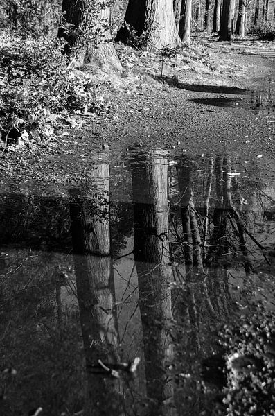Waterplas 2 von Gerard Streng