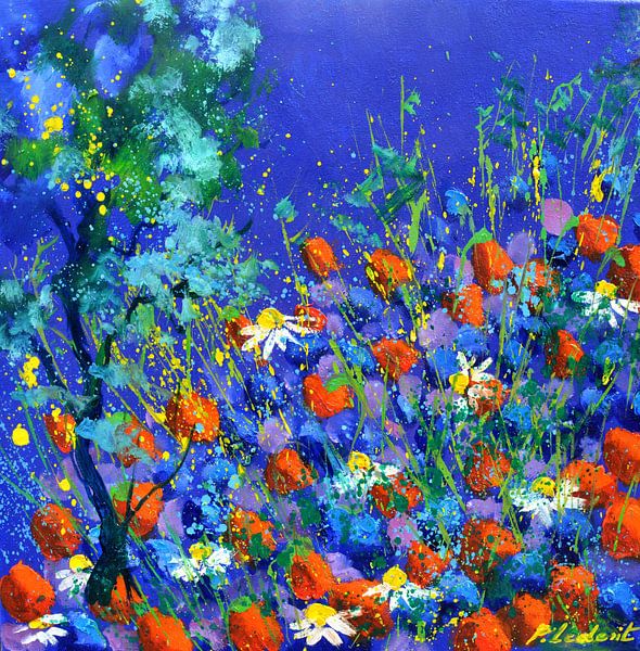 Red poppies by pol ledent
