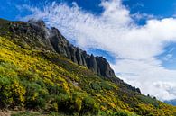 Picos de Europa par Peter Moerman Aperçu