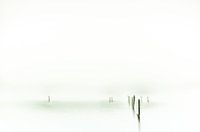 Minimalism