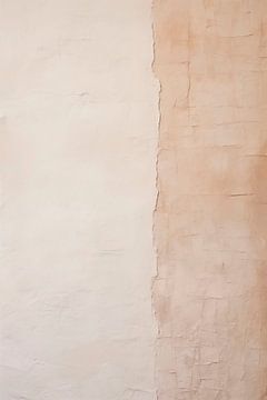Murs en plâtre blanc stratifié sur Maarten Knops