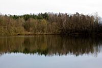 Reflectie