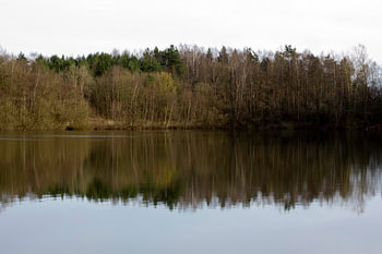 Reflectie