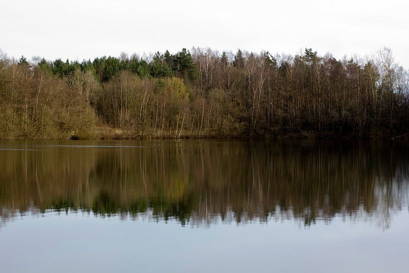 Reflectie van Arno Photo