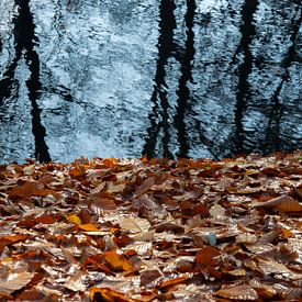 Herbstbach von Miss Dee Photography