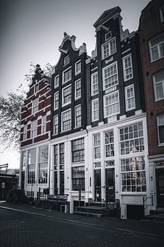 Amsterdam aux Pays-Bas n'est pas seulement noir et blanc