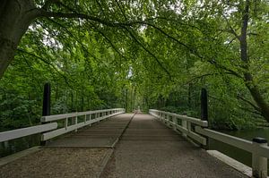 Amsterdamer Wald