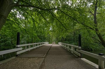 Amsterdamse Bos van Peter Bartelings