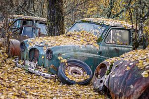 Rostige Hinterlassenschaften im Wald - Autofriedhof in Schweden