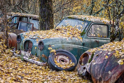 Roestige erfenissen in het bos - autokerkhof in Zweden