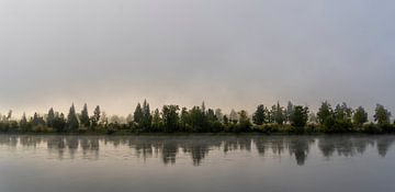 Reka Biryursa Fluss mit Bäumen im Morgennebel.