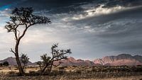 panorama in Namibia by t.a.m. postma thumbnail