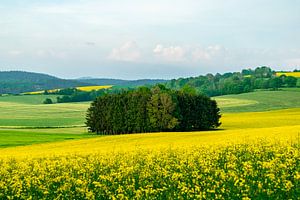 Sommerliche Fahrradtour durch das Schmalkaldener Umland bis in Werratal bei Fambach - Thüringen - Deutschland