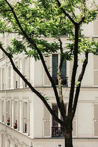 weiße Fensterläden in Paris von Huib Vintges