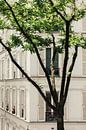 witte luiken in Parijs van Huib Vintges thumbnail