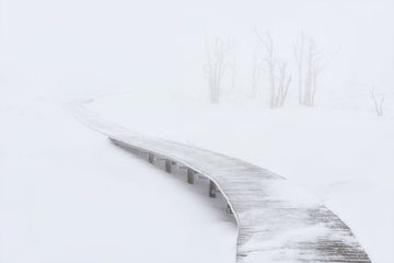 Whiteout - Winter in the High Fens by Rolf Schnepp