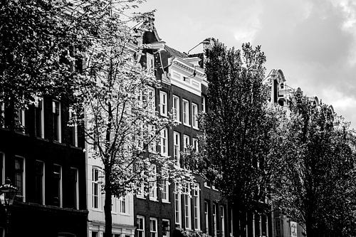 Amsterdamse grachten panden