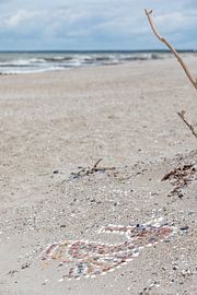 Am Strand von Ahrenshoop (Fischland / Darß)
