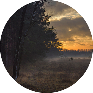 Mist op de Strabrechtse Heide tijdens zonsondergang. van Maurits van Hout