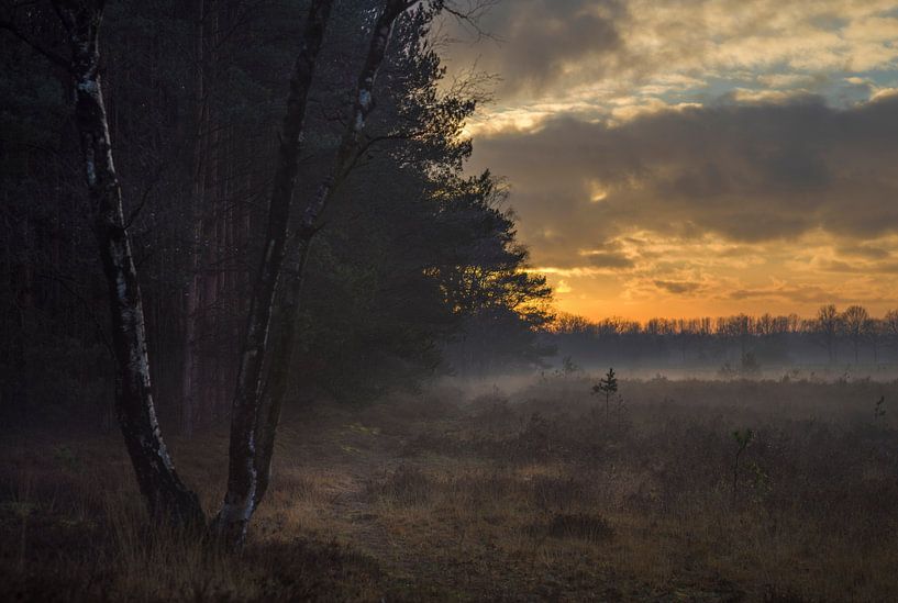 Fog on the Strabrechtse Heide during sunset. by Maurits van Hout