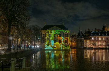 Mauritshuis with projection by Paulus Potter by Marian Sintemaartensdijk