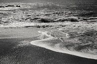 Wanneer het water het strand bereikt van Rebecca Gruppen thumbnail