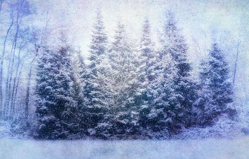 Sneeuwjacht van Claudia Moeckel