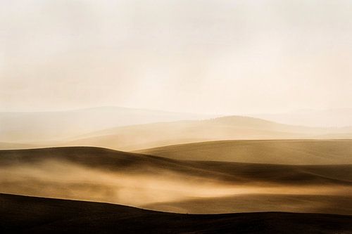 Mistig landschap met zachte lijnen