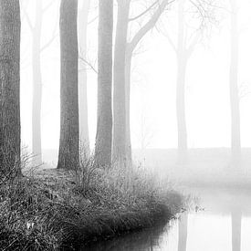 Langs de Damse Vaart van Glenn Vanderbeke