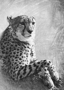 Dierenwereld - Cheetah van JayJay Artworks