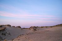 Sonnenaufgang in den Dünen - Den Haag - Lila, rosa und blau