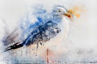 Heringsmöwe auf einem Bein (Aquarell)