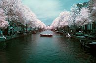 The Amsterdam Keizersgracht in infrared 720NM by Arno van der Poel thumbnail