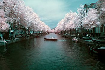 De Amsterdamse Keizersgracht in infrarood 720NM