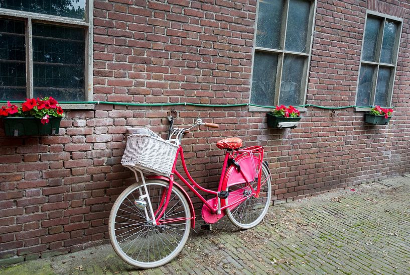 Nostalgisches Rosa: Ein charmantes Fahrrad vor einer gemauerten Bauernhofmauer von Arthur van Iterson