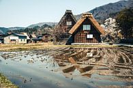 Cottages in Shirakawa-go, Japan by Expeditie Aardbol thumbnail