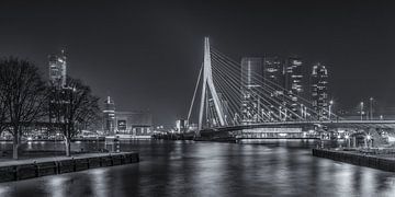 Erasmusbrug in Rotterdam by Night - 4 by Tux Photography