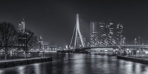 Erasmusbrug in Rotterdam in de avond - 4