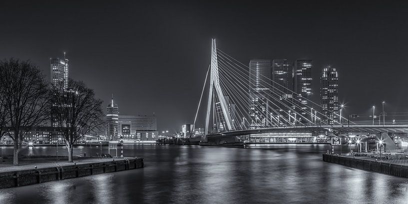 Erasmusbrücke in Rotterdam am Abend - 4 von Tux Photography
