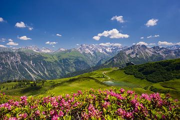 Panorama van de Fellhorn tot de centrale hoofdkam van de Allgäuer Alpen van Walter G. Allgöwer