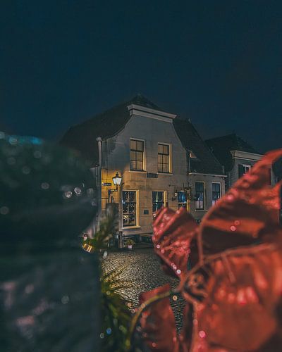 Through Winter Light – Nieuwpoort