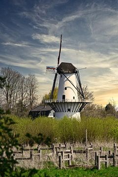 De molen in Beesd van Tina Linssen