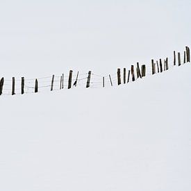 Clôture dans la neige sur Lies Nierop Fotografie