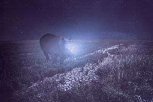 Majestätisches Nashorn mit leuchtenden Hörnern in der afrikanischen Wildnis Nacht