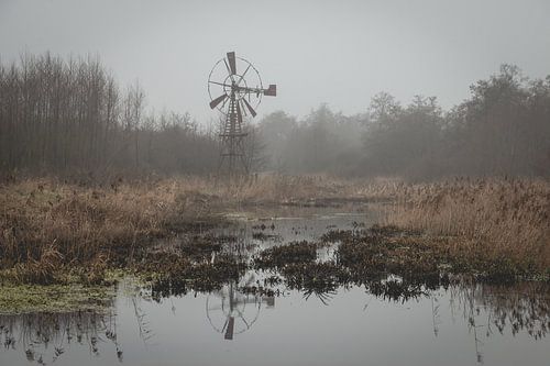 Vieux moulin à vent rouillé dans le paysage hivernal de la réserve naturelle de Lindevallei