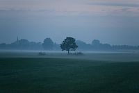 Foggy sunrise Schalkwijk
