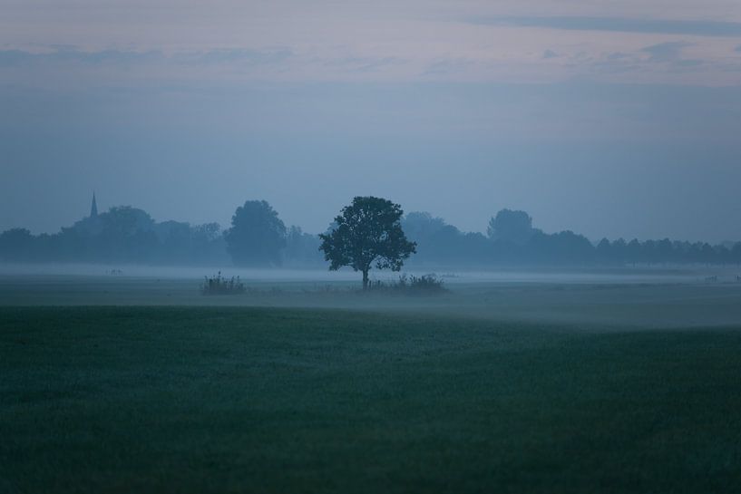 Foggy sunrise Schalkwijk by Wilco Bos