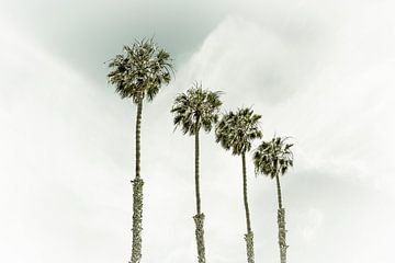 Palmen am Strand | Vintage von Melanie Viola